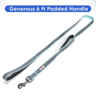 Show full view: Pawtitas Personalized Reflective Dual Handle Dog Leash, Teal slide 6 of 9