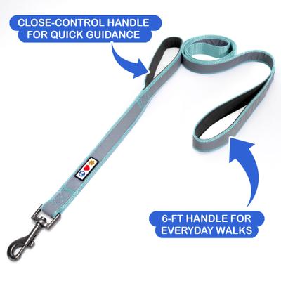 Show full view: Pawtitas Personalized Reflective Dual Handle Dog Leash, Teal slide 3 of 9