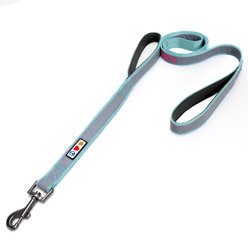 Pawtitas Personalized Reflective Dual Handle Dog Leash, Teal