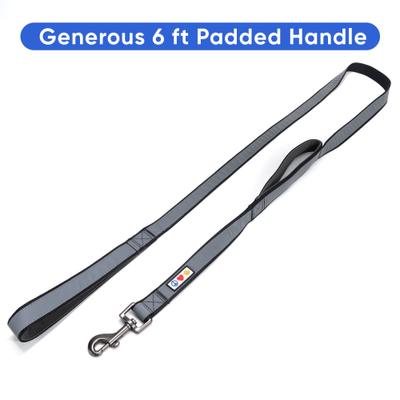 Show full view: Pawtitas Personalized Reflective Dual Handle Dog Leash, Black slide 6 of 9