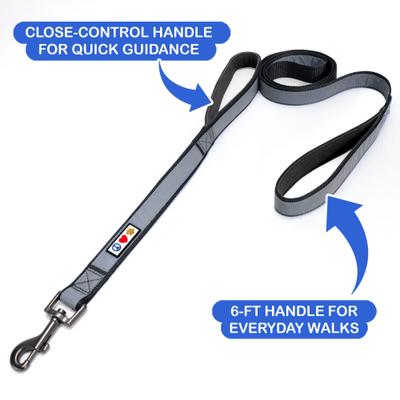Show full view: Pawtitas Personalized Reflective Dual Handle Dog Leash, Black slide 3 of 9