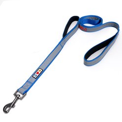 Pawtitas Personalized Reflective Dual Handle Dog Leash, Blue