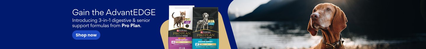 Gain the AdvantEDGE Introducing 3-in-1 digestive & senior support formulas from Pro Plan. Shop now.