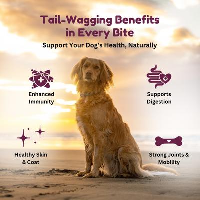 Show full view: Kiwi Country Venison & NZ Green Mussel Wet Dog Food, 6-oz can, case of 24 slide 6 of 11