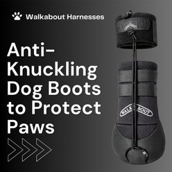 WALKABOUT Original Toe'sUP Anti-Knuckling Aid Boot for Dogs, X-Small slide 2 of 8