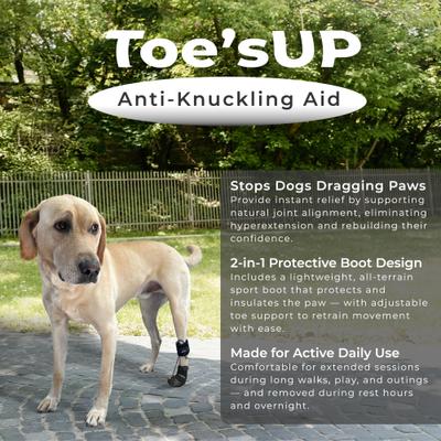 Show full view: WALKABOUT Original Toe'sUP Anti-Knuckling Aid Boot for Dogs, Medium slide 5 of 9