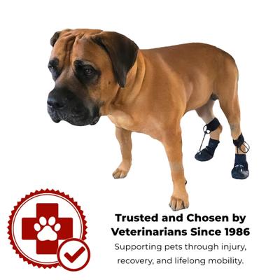 Show full view: WALKABOUT Original Toe'sUP Anti-Knuckling Aid Boot for Dogs, Medium slide 4 of 9