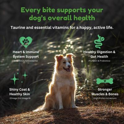 Show full view: Kiwi Country Grain-Free Lamb Dry Dog Food, 4.4-lb bag slide 7 of 10