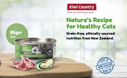 Kiwi Country Lamb & NZ Green Mussel Wet Cat Food, 3-oz can, case of 24 slide 2 of 9