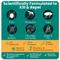 Show in main carousel: Trail Hound Pet Supply Co. Trail Guard Lemongrass Flea & Tick Repellent Spray for Dogs, 16-fl oz bottle slide 2 of 6