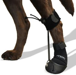 WALKABOUT Original Toe'sUP Anti-Knuckling Aid Boot for Dogs, X-Small