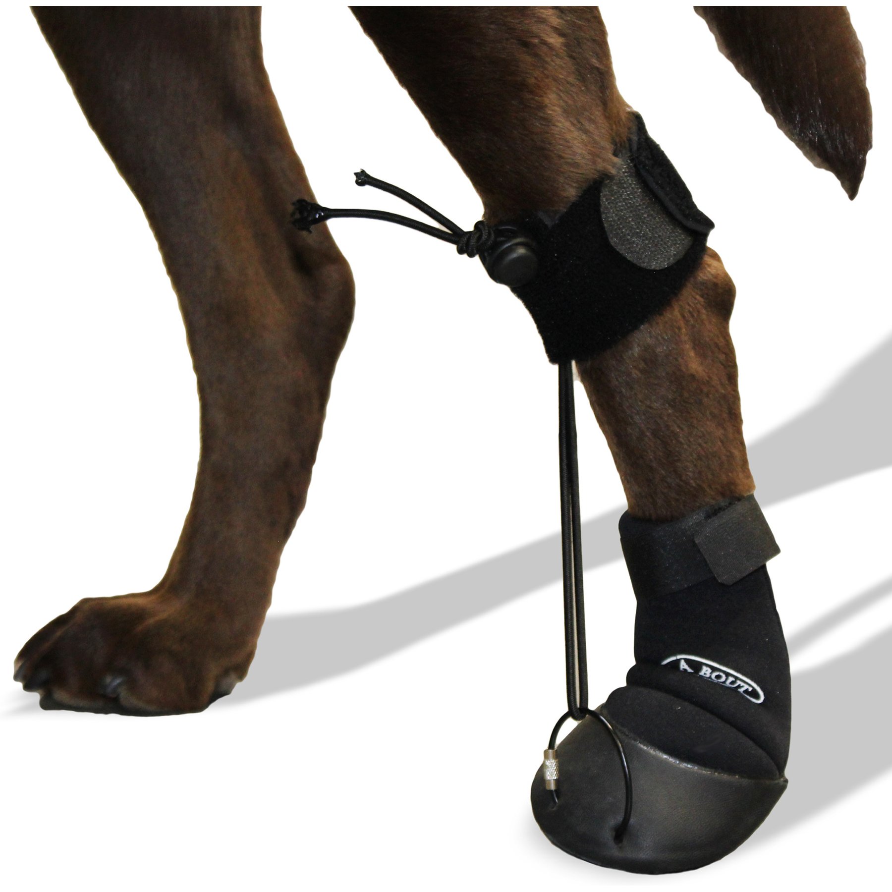 WALKABOUT Original Toe'sUP Anti-Knuckling Aid Boot for Dogs, Medium