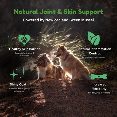 Show full view: Kiwi Country Lamb & NZ Green Mussel Wet Dog Food, 6-oz can, case of 24 slide 5 of 9