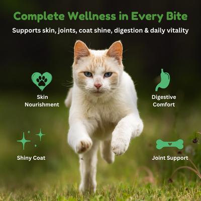 Show full view: Kiwi Country Lamb & NZ Green Mussel Wet Cat Food, 3-oz can, case of 24 slide 6 of 11