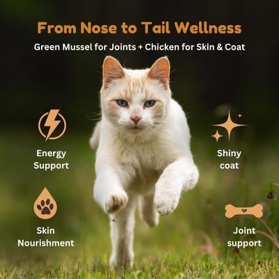 Show full view: Kiwi Country Chicken & NZ Green Mussel Wet Cat Food, 3-oz can, case of 24 slide 6 of 10