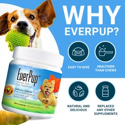 EverPup Ultimate Daily Vet-Formulated All-in-One Beef Flavored Powder Joint, Immune & Gut Health Supplement for Dogs, 6.35-oz jar slide 2 of 9