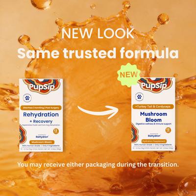 Show full view: PupSip Turkey Tail Mushroom with Low-Sodium Chicken Bone Broth Powder Digestive Support Supplement for Dogs, 12 count slide 7 of 10