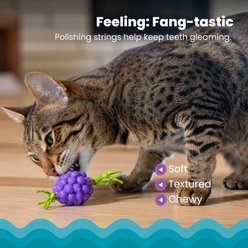 Catstages Bouncing Grape Teether Cat Chew Toy with Catnip Oil Coating, Purple slide 2 of 6