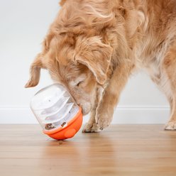 Nylabone Boop N Bobble Puzzle Treat Dog Toy slide 2 of 9