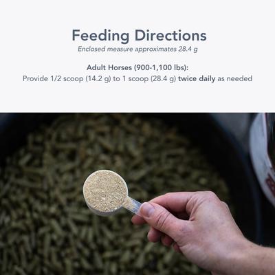 Show full view: Med-Vet Pharmaceuticals (MVP) Calmex-V Powder Horse Calming Supplement, 5-lb slide 5 of 6