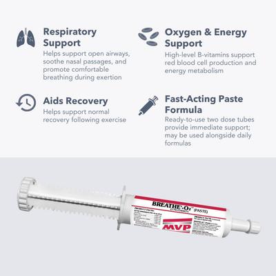 Show full view: Med-Vet Pharmaceuticals (MVP) Breathe Paste Horse Breathing Aid, 80-mL syringe slide 4 of 6
