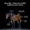 Show in main carousel: Med-Vet Pharmaceuticals (MVP) Mg + Natural E 4,000 Pellets Horse Supplement, 5-lb slide 3 of 6