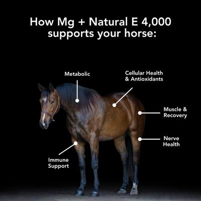 Show full view: Med-Vet Pharmaceuticals (MVP) Mg + Natural E 4,000 Pellets Horse Supplement, 5-lb slide 3 of 6