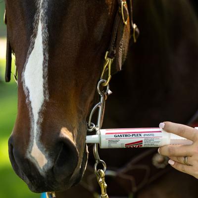 Show full view: Med-Vet Pharmaceuticals (MVP) Gastro-Plex Paste Horse Digestive Aid, 80-mL syringe slide 6 of 6