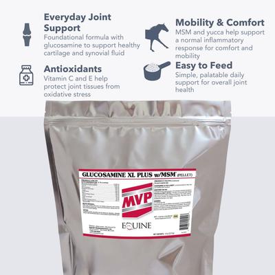 Show full view: Med-Vet Pharmaceuticals (MVP) Glucosamine + MSM Pellets Horse Joint Supplement, 10-lb slide 4 of 6