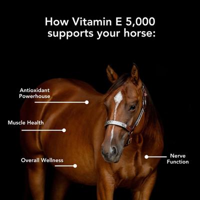 Show full view: Med-Vet Pharmaceuticals (MVP) Vitamin E 5000 Pellets Horse Supplement, 3-lb slide 3 of 6