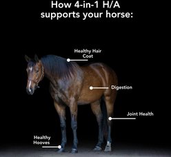 Med-Vet Pharmaceuticals (MVP) 4-In-1 H/A Pellets Horse Supplement, 6lb slide 2 of 6