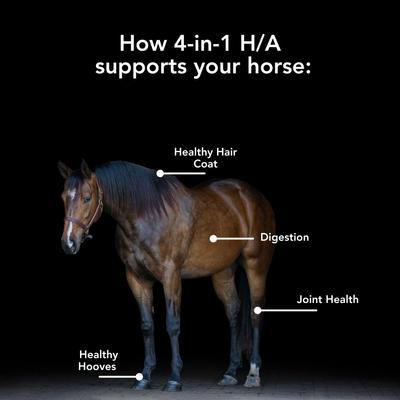 Show full view: Med-Vet Pharmaceuticals (MVP) 4-In-1 H/A Pellets Horse Supplement, 6lb slide 3 of 6