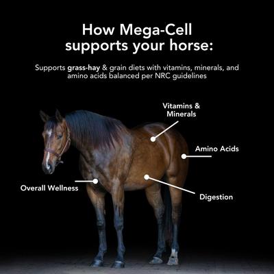 Show full view: Med-Vet Pharmaceuticals (MVP) Mega-Cell Pellets Horse Supplement, 5-lb slide 3 of 6