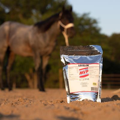 Show full view: Med-Vet Pharmaceuticals (MVP) Levelor Powder Horse Supplement, 2.65-lb slide 6 of 6