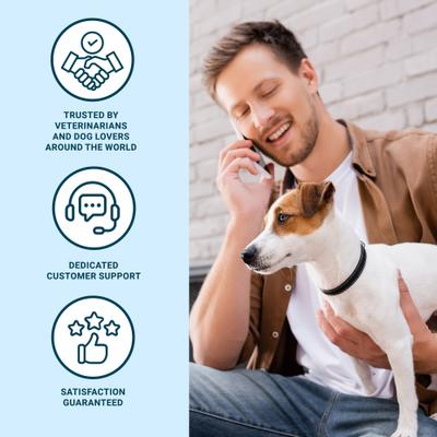 Show full view: EverPup Ultimate Daily Vet-Formulated All-in-One Beef Flavored Powder Joint, Immune & Gut Health Supplement for Dogs, 6.35-oz jar slide 10 of 10