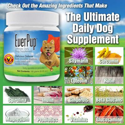 Show full view: EverPup Ultimate Daily Vet-Formulated All-in-One Beef Flavored Powder Joint, Immune & Gut Health Supplement for Dogs, 6.35-oz jar slide 8 of 10