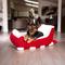 Show in main carousel: Sherry Kline Pet Collection Holiday Sleigh Washable Dog Bed, Red, Medium: 22 x 32 x 15-in slide 6 of 6