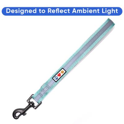 Show full view: Pawtitas Personalized Custom Embroidery Reflective Short Training Dog Leash with Padded Handle, Teal slide 6 of 8