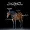 Show in main carousel: Med-Vet Pharmaceuticals (MVP) E-Clipse'PM Pellets Horse Supplement, 6-lb slide 3 of 6