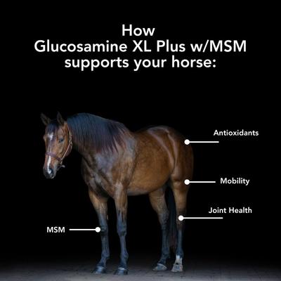 Show full view: Med-Vet Pharmaceuticals (MVP) Glucosamine + MSM Pellets Horse Joint Supplement, 10-lb slide 3 of 6