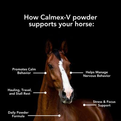 Show full view: Med-Vet Pharmaceuticals (MVP) Calmex-V Powder Horse Calming Supplement, 5-lb slide 3 of 6