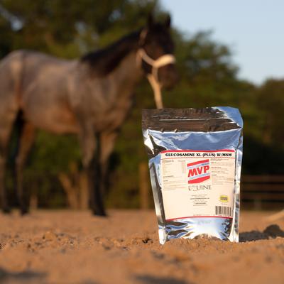 Show full view: Med-Vet Pharmaceuticals (MVP) Glucosamine + MSM Pellets Horse Joint Supplement, 10-lb slide 6 of 6