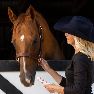 Show full view: Med-Vet Pharmaceuticals (MVP) Breathe Paste Horse Breathing Aid, 80-mL syringe slide 6 of 6