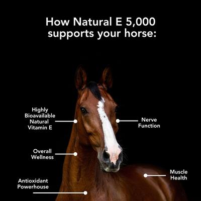 Show full view: Med-Vet Pharmaceuticals (MVP) Natural E 5000 Pellets Horse Supplement, 3-lb slide 3 of 6