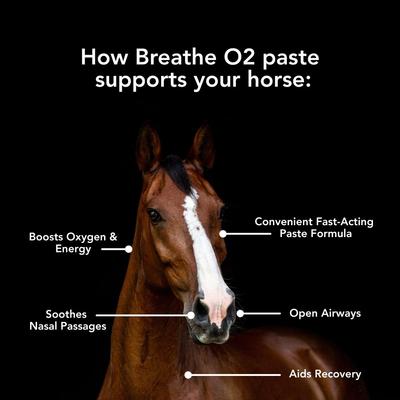 Show full view: Med-Vet Pharmaceuticals (MVP) Breathe Paste Horse Breathing Aid, 80-mL syringe slide 3 of 6