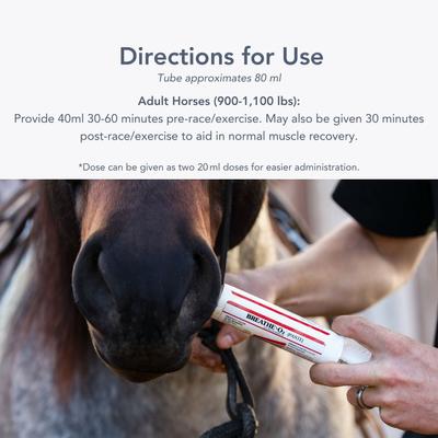 Show full view: Med-Vet Pharmaceuticals (MVP) Breathe Paste Horse Breathing Aid, 80-mL syringe slide 5 of 6
