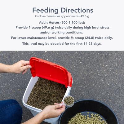 Show full view: Med-Vet Pharmaceuticals (MVP) Glucosamine + MSM Pellets Horse Joint Supplement, 10-lb slide 5 of 6