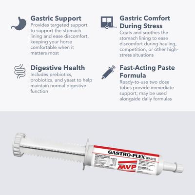 Show full view: Med-Vet Pharmaceuticals (MVP) Gastro-Plex Paste Horse Digestive Aid, 80-mL syringe slide 4 of 6