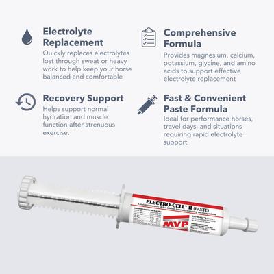 Show full view: Med-Vet Pharmaceuticals (MVP) Electro-Cell Paste Horse Electrolyte Supplement, 60-mL syringe slide 4 of 6