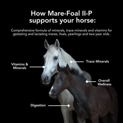 Show full view: Med-Vet Pharmaceuticals (MVP) Mare Foal II-P Pellets Horse Vitamins, 10-lb slide 3 of 6